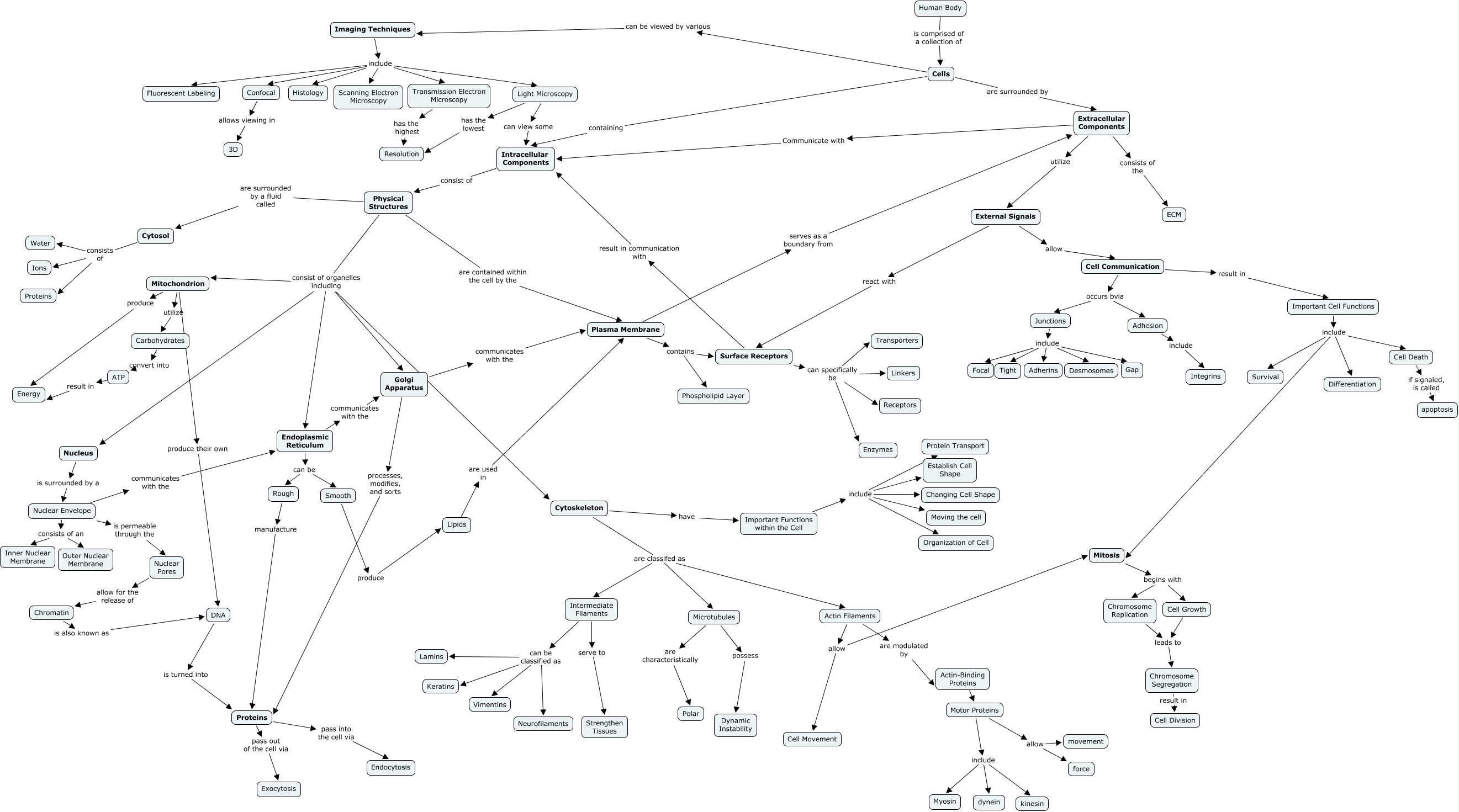 1 ECM Concept Map What is the major structure and function of the
